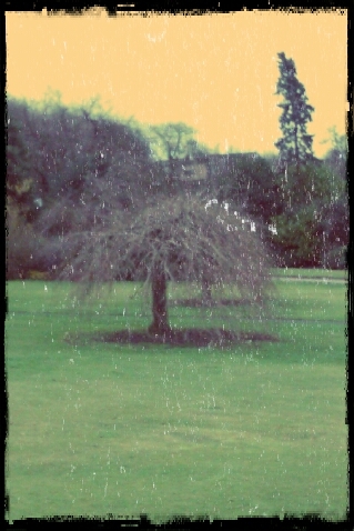 subbulady's profile picture. Proud mum, biker, Kent Invicta TFC player, England ladies subbuteo international & coach at http://t.co/tYQtSznxOq.   Personal views are my own.