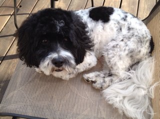 GayleeTimlin3's profile picture. 