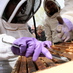 NYC Beekeeping (@nycbeekeeping) Twitter profile photo