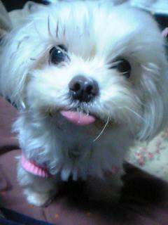 yoyoyotit's profile picture. PP会員♪