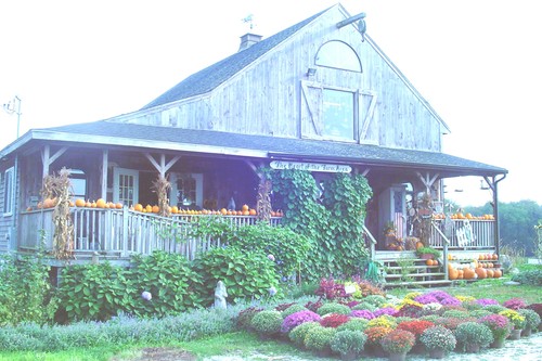 Oakdale Farms Country Barn & Garden Shop - farm fresh veggies, eggs, baked goods and preserves, country furniture and gifts