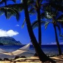 Carla Lay - @carlaelay - Twitter