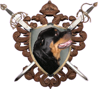 Rottweilers Royal Kennel owner/breeder
              It's A Dog's Life