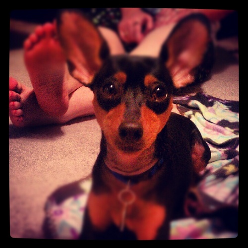 kyle_herndon's profile picture. * run towards your dreams *