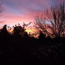 Mitchell Klein - @mbk2k - Twitter