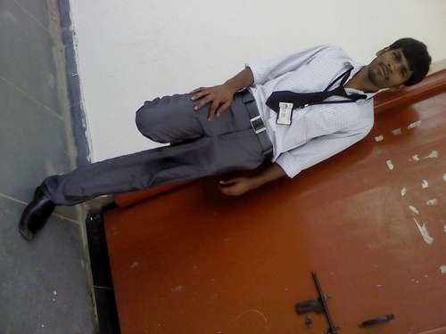 Senior Clinical Programmer . Pharmacology Dept.