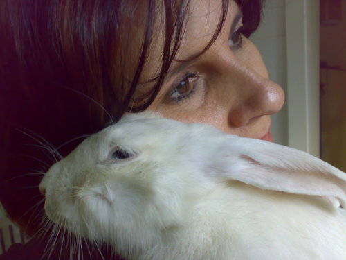 In my quest to rescue animals I lost my mind but found my soul.