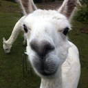 mitch dean - @mitchjdean - Twitter