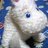obscurepoints's profile image