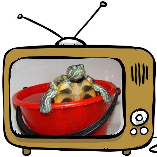 I put letters together that form words. I push buttons on a remote! If you've seen it - I probably need, too. Turtles are people, too!