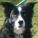 Dan Mustoe - @evil_1dan - Twitter