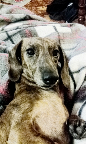 kschetterer's profile picture. 