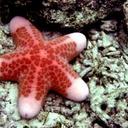 Rini MD - @rinimd_nick - Twitter