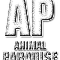 Animal Paradise - @AdrielSandon Twitter Profile Photo