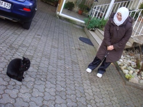 DalalSAlSultan's profile picture. 