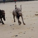 David Buckwell - @buckyism - Twitter