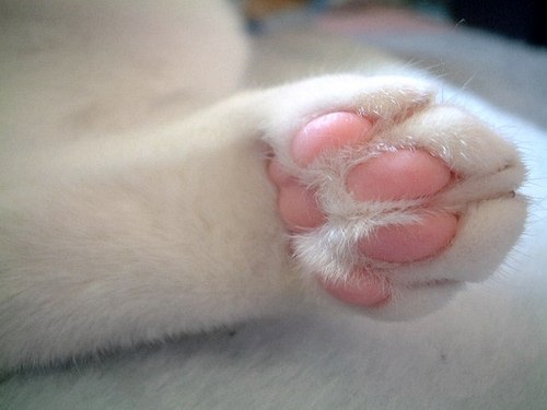 fenix0927's profile picture. 