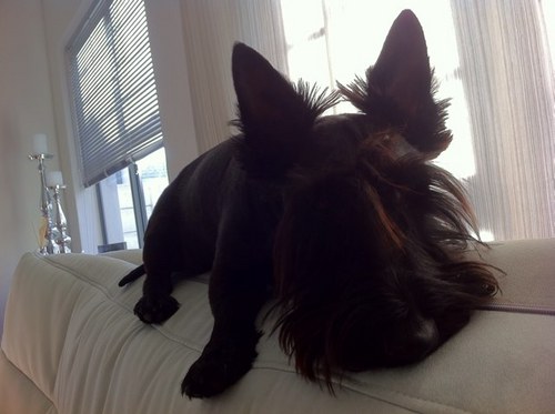 jandrevanstaden's profile picture. Common sense is not so common. - Voltaire