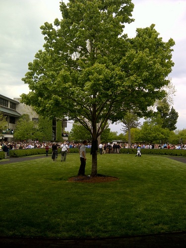 bmtracy1's profile picture. 