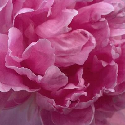 antiarminiatabo's profile picture. PhD in Health Administration, a mentor, consultant, a clinical coordinator, and  friend to all.