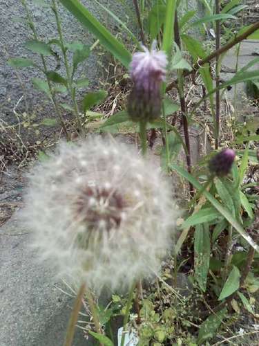 qjqwjs06's profile picture. 