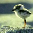 Samuel Bélanger - @mumubelanger - Twitter