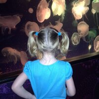 terri roettinger (@terriroettinger) 's Twitter Profile Photo terri roettinger (@terriroettinger) 's Twitter Profile Photo