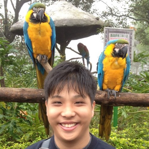 FantasyWord6's profile picture. A sense of humor is a major defense against minor troubles.