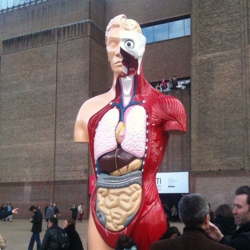 MarginalLake's profile picture. bio