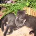 Sue Werner - @docworker - Twitter