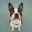 SAZE_NeV's profile image