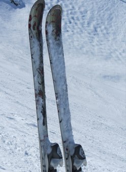 sueskiing's profile picture. 