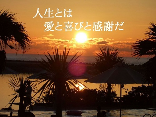 yuge3mai's profile picture. 