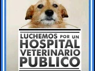 heidyup12's profile picture. Ingeniera Agropecuaria, amo mi profesión, amo a mi familia,  a Dios y la Virgen Maria sobre todas las cosas☀