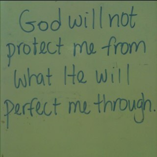 lleew599's profile picture. 