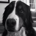 Kirk James McAuliffe - @alwaysasiren - Twitter