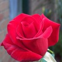 jeanne mccarty - @MccartyJeanne - Twitter