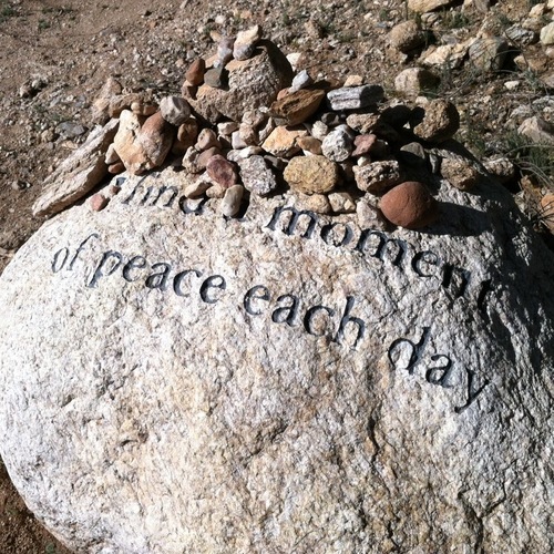 tweetDMD's profile picture. music=euphonic catharsis; common sense+creativity; love flightless birds; i still miss my grandmother everyday; all views are mine & not those of my company.