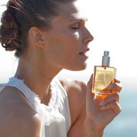 African Botanics (@africanbotanics) Twitter profile photo
