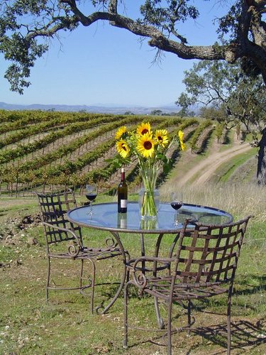 Take a journey through the beautiful and gently rolling hills of the Paso Robles countryside & discover some of the most exciting wines of the Central Coast.