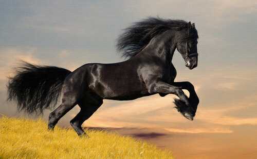 ‏‏‏‏لا إله إلا أنت سبحانك إني كنت من الظالمين.♥