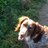 SanneTrimbos's profile image