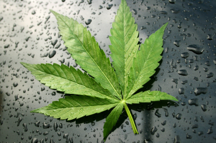 Keeping #weed smokers connected. RT 
Follow a fellow Stoner. Just Blaze!!