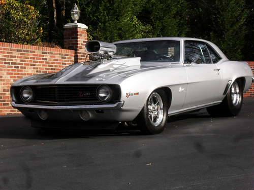 shenangobball3's profile picture. i can accept losing but i cant except not trying,mj#ball is life