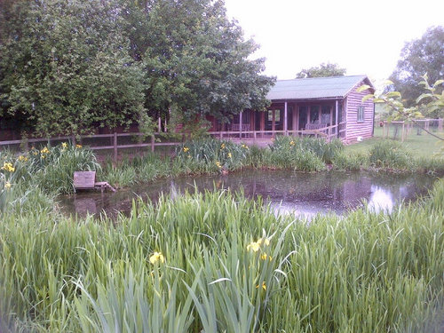 Green Acres Farm. Organic everything - specialist milling grains and flour, NZ Romneys, conservation, biomass and education. Crops for @Hodmedods @organicarable