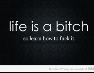 umadbroo9's profile picture. #teamfollowback