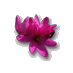Tasha N. Attaway (@attawayohio) Twitter profile photo