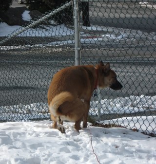 angds323's profile picture. 