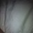 MOKG20's profile image