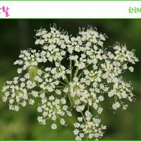 김정운 (@qjqwjs79) 's Twitter Profile